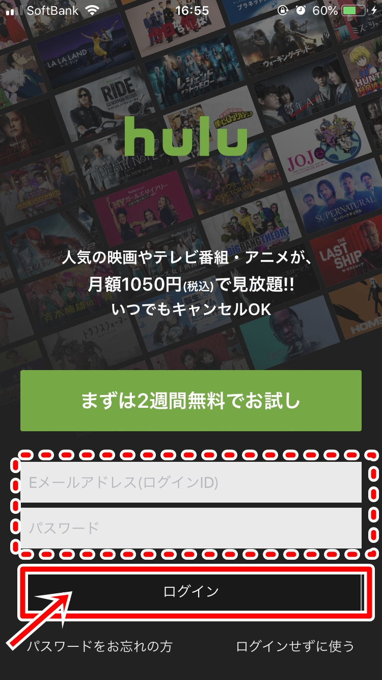 ビクトリー 広島 サンズ